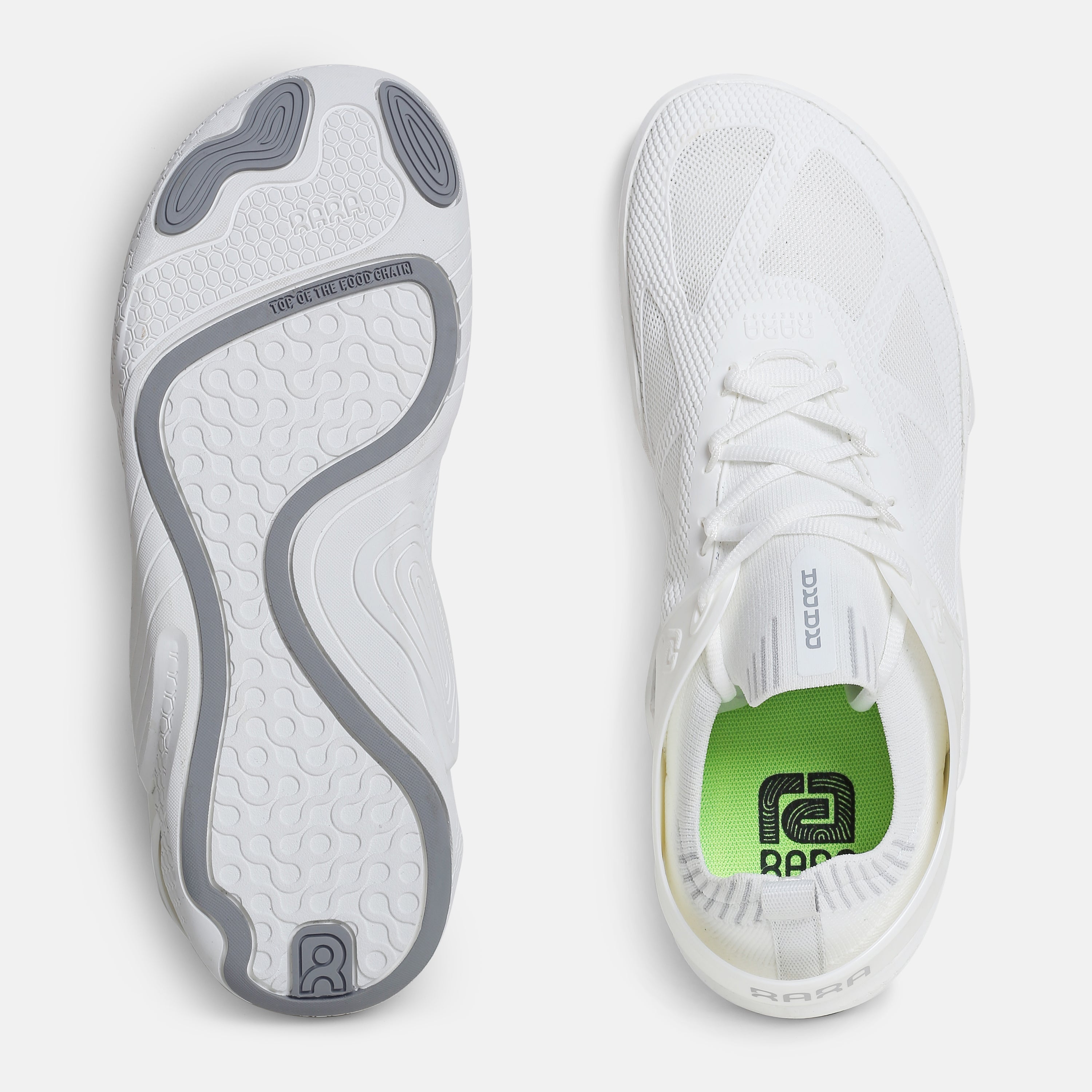 XANADU WHITE